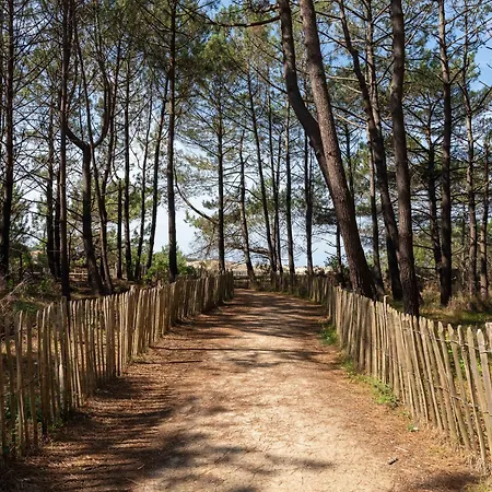 Maison Familiale A Gastes, 400m Du Lac, Climatisee, Jardin, 6 Pers. - Menage Inclus - Fr-1-319-575 * Gastes